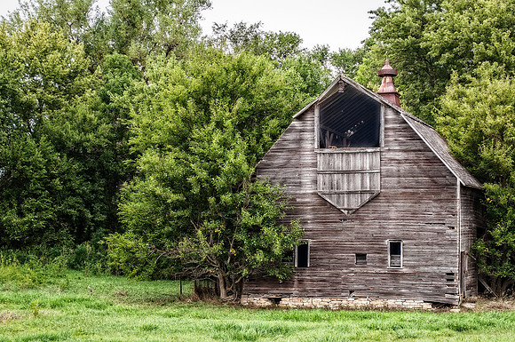 DSC_2353-Edit