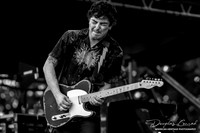 Lead Guitarist War and Treaty