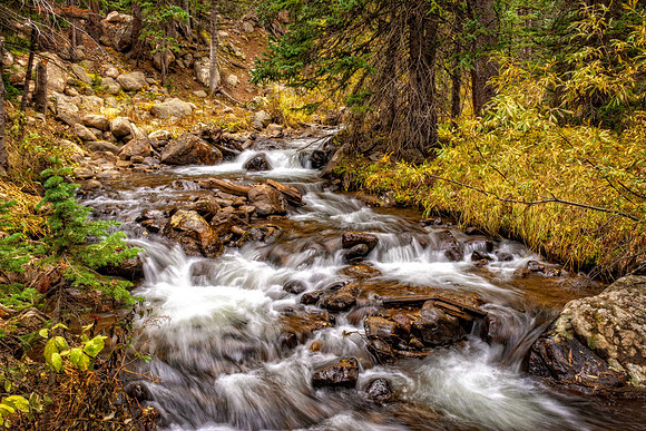 Rushing Brook.jpg