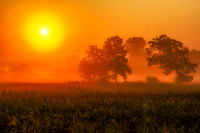 Hazy Sunrise at Neal Smith.jpg