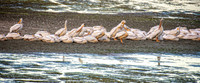 _7200239-Edit.jpg