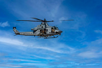 Z62_4582-Edit-Edit.jpg