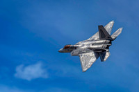 Z62_4852-Edit-Edit.jpg