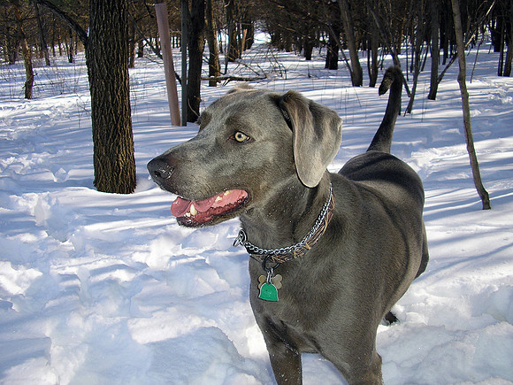 Lambeau 2008.jpg