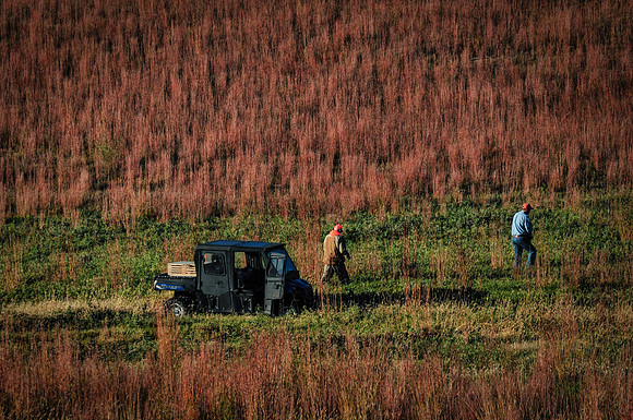 DSC_5156-Edit