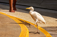 _7205360-Edit-Edit.jpg