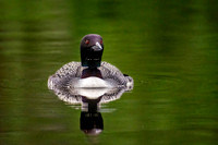 720_5699-Edit-Edit.jpg