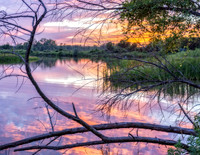 _DSC6310-HDR-Edit.jpg