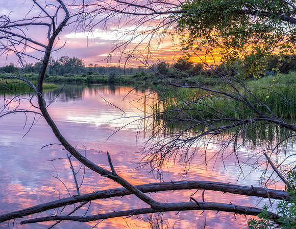 _DSC6310-HDR-Edit.jpg