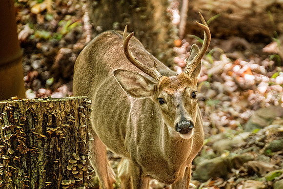 _DSC7415-Edit.jpg