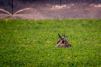 _7200986-Edit.jpg