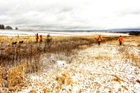 _7201359-Edit.jpg