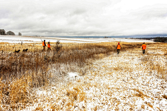 _7201359-Edit.jpg