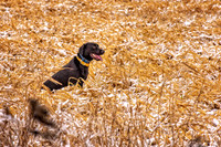 _7201376-Edit.jpg