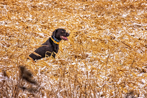 _7201376-Edit.jpg