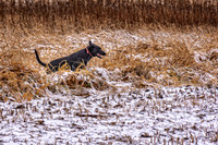 _7201386-Edit.jpg