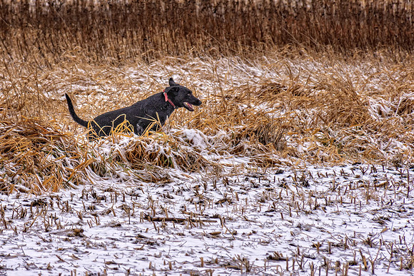 _7201386-Edit.jpg