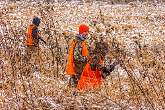 _7201390-Edit.jpg
