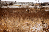 _7201393-Edit.jpg