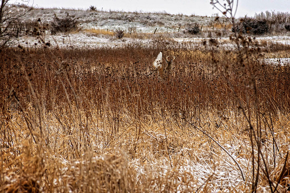 _7201393-Edit.jpg