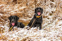 _7201421-Edit.jpg