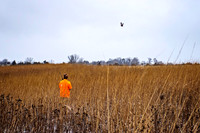 _7201435-Edit.jpg
