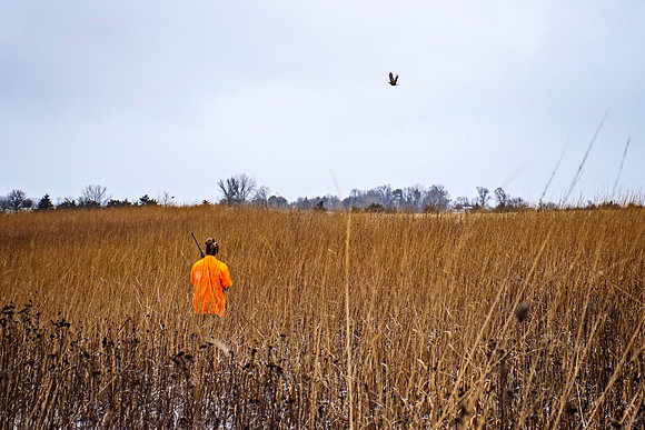 _7201435-Edit.jpg