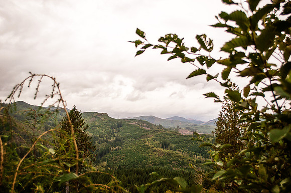 _DSC1548-Edit