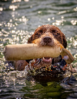 _7201107-Edit.jpg