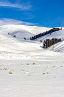 _DSC0661.jpg