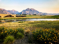 IMG_1206-Edit.jpg