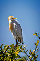 _7204671-Edit.jpg