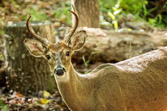 _DSC7413-Edit.jpg