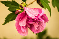 _DSC6562-Edit.jpg