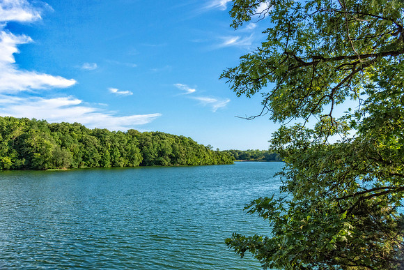 _DSC5362-Edit.jpg