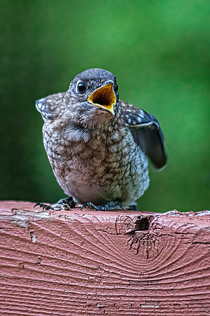 _7207053-Edit.jpg