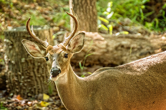 _DSC7412-Edit.jpg