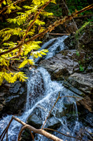 _7200186-HDR-Edit.jpg
