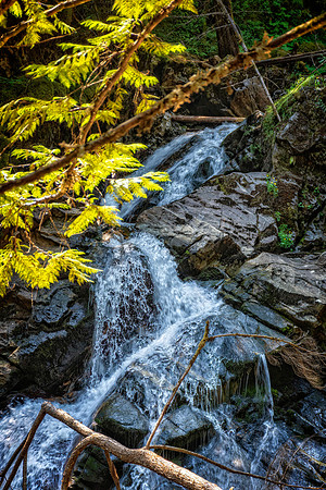 _7200186-HDR-Edit.jpg