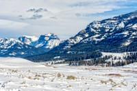 _DSC0608.jpg