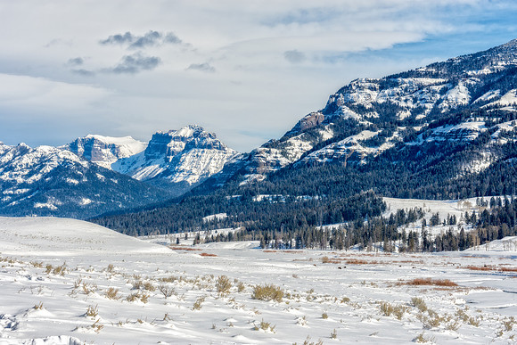 _DSC0608.jpg