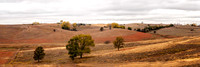 Farm Field_Panorama1-Edit