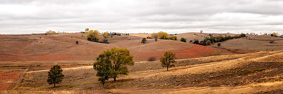 Farm Field_Panorama1-Edit