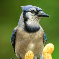 _7206608-Edit.jpg