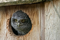 _7206692-Edit.jpg