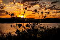 DSC_1335-Edit