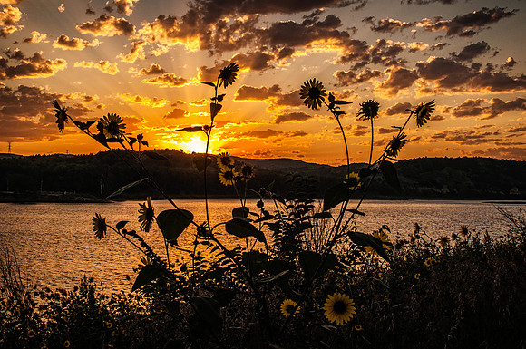 DSC_1335-Edit