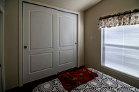 _7204097-Edit.jpg