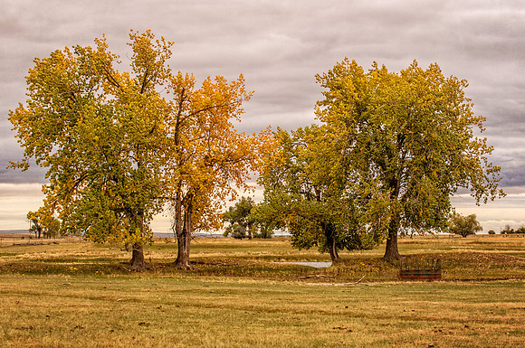 _DSC5350.jpg