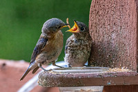 _7207081-Edit.jpg